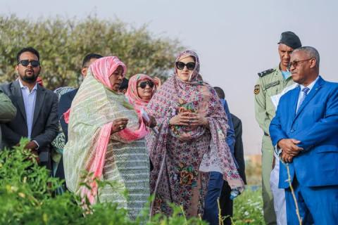 صورة من النشاط